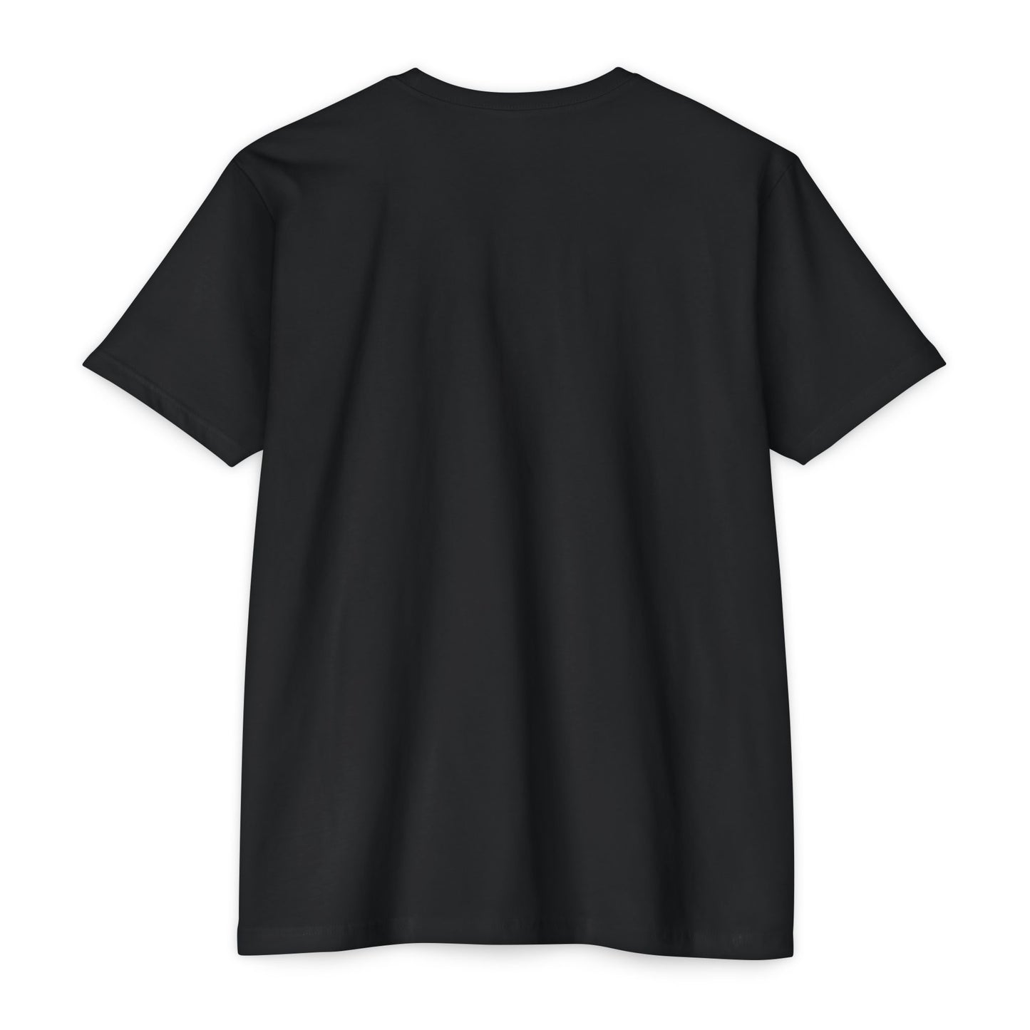 Crown Graphic T-Shirt for All Occasions, Unisex Tee, Birthday Gift, Casual Wear, Statement Shirt, Everyday Style