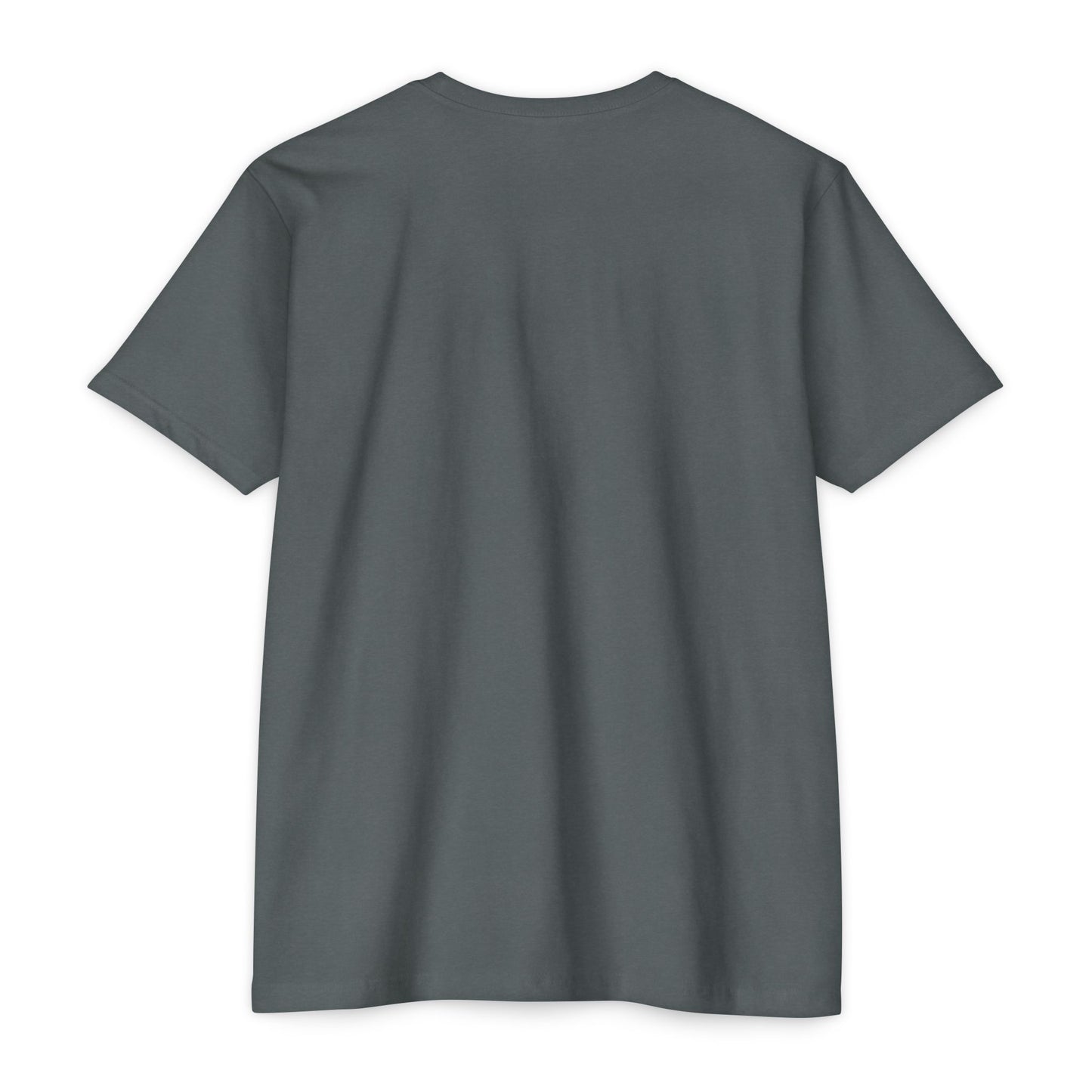 Crown Graphic T-Shirt for All Occasions, Unisex Tee, Birthday Gift, Casual Wear, Statement Shirt, Everyday Style