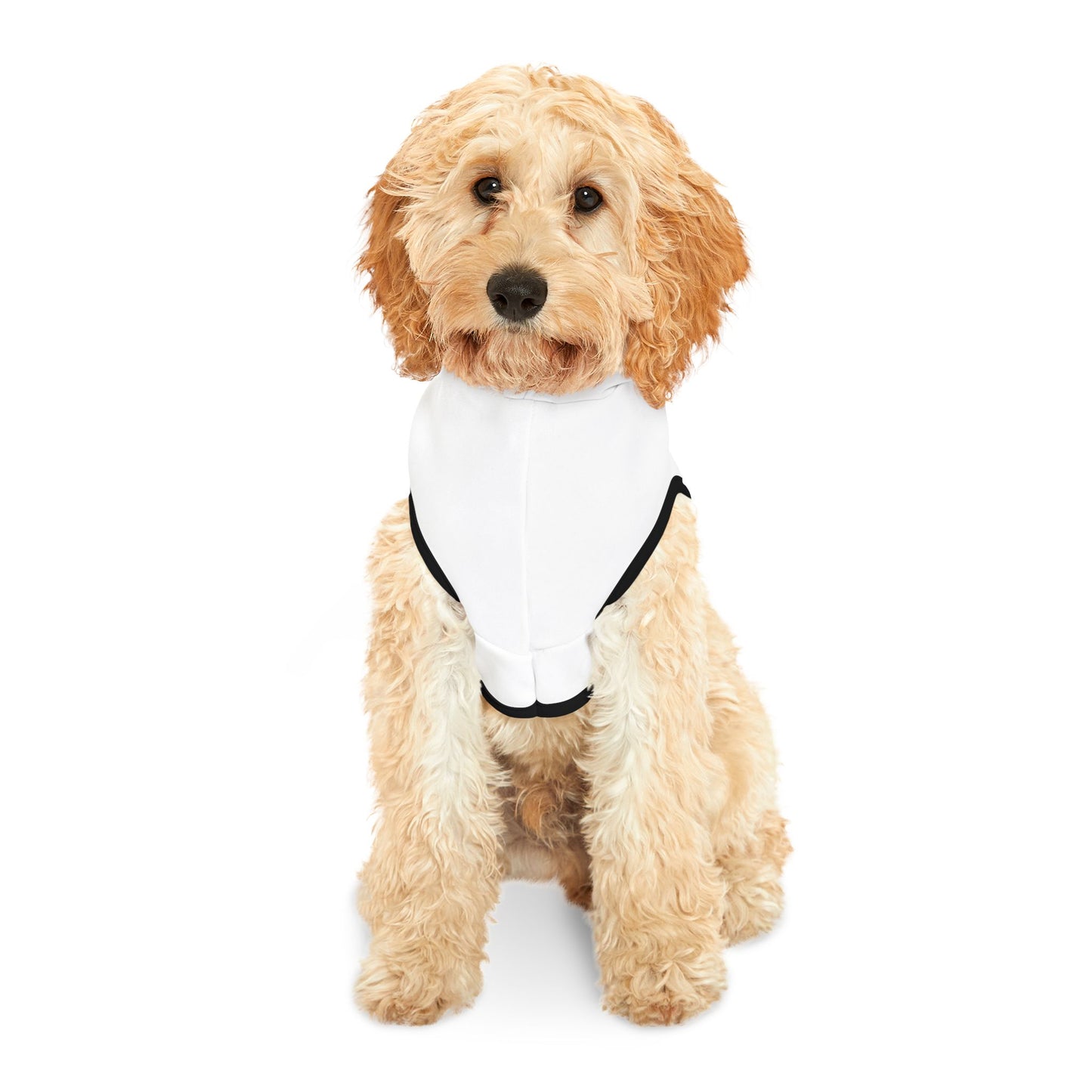 Royalty Pet Hoodie - Cozy Dog Sweatshirt, Pet Apparel for Celebrations, Dog Birthday Gift, Stylish Pup Outfit, Pet Costume