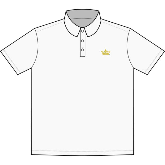 Men's UV Protection Polo Shirt - Stylish, Breathable, Outdoor Wear, Golfing, Casual Events, Summer Activities, Gift for Him