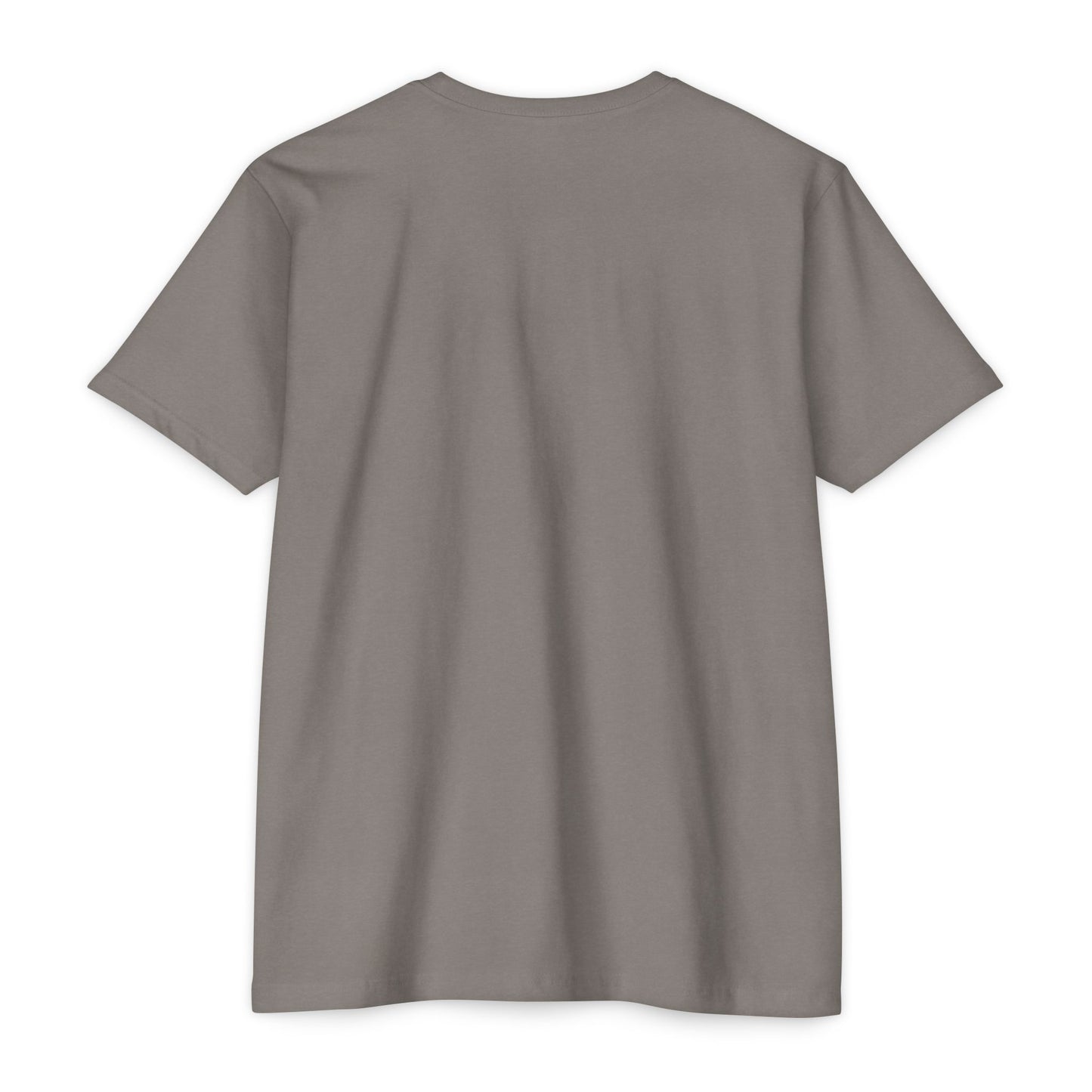 Crown Graphic T-Shirt for All Occasions, Unisex Tee, Birthday Gift, Casual Wear, Statement Shirt, Everyday Style