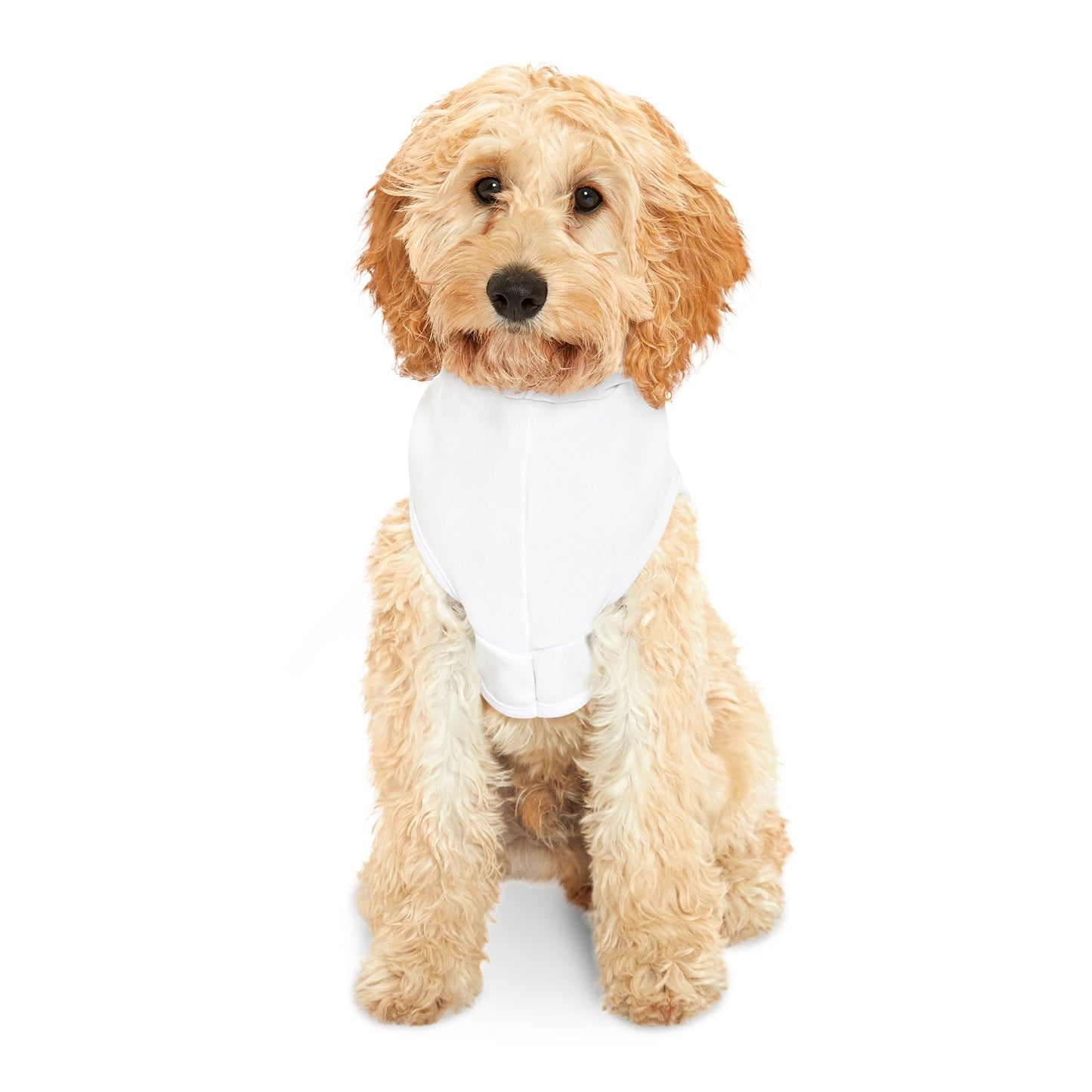 Royalty Pet Hoodie - Cozy Dog Sweatshirt, Pet Apparel for Celebrations, Dog Birthday Gift, Stylish Pup Outfit, Pet Costume